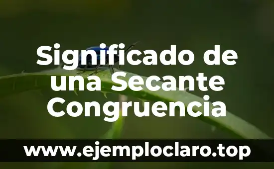 Congruencia de Escala en Geografía: Un Concepto Fundamental 5 Significado de una Secante Congruencia