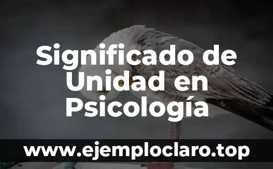 Significado de Unidad en Psicología