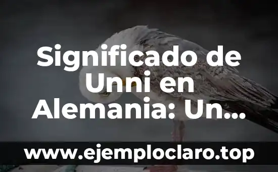 Significado de Unni en Alemania: Un Vistazo al Slang Alemán