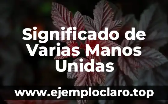 Significado de Varias Manos Unidas