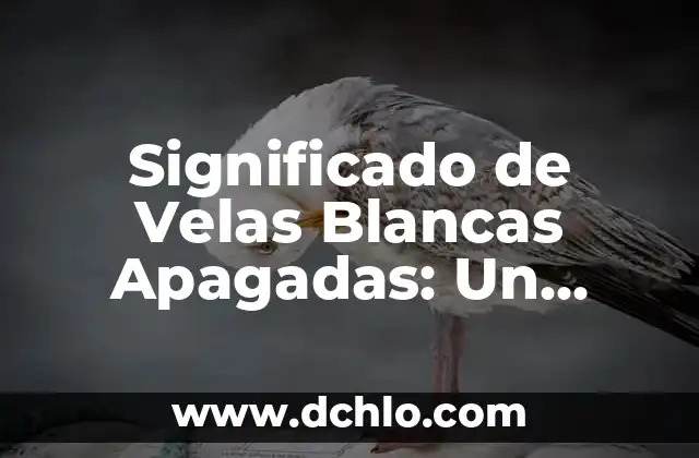 Las velas y su significado 5 Significado de Velas Blancas Apagadas: Un Análisis Detallado