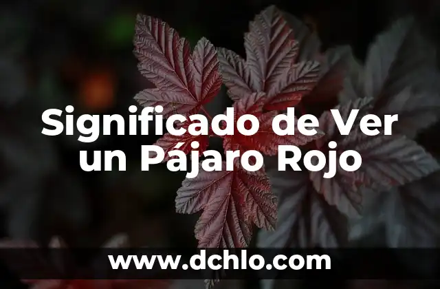 ¿Cuál es el color que se obtiene al mezclar rojo y azul? 8 Significado de Ver un Pájaro Rojo