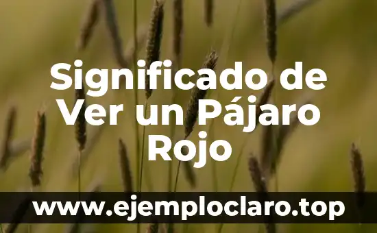 ¿Cuál es el color que se obtiene al mezclar rojo y azul? 8 Significado de Ver un Pájaro Rojo