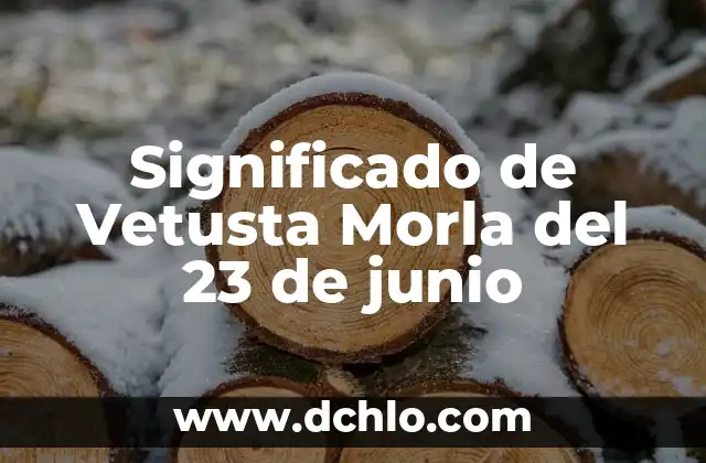 Mezquita: Significado y Orígenes 5 Significado de Vetusta Morla del 23 de junio