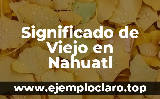 Significado de Viejo en Nahuatl