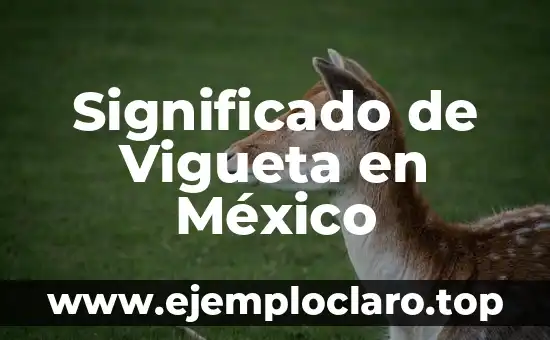 Significado de Vigueta en México