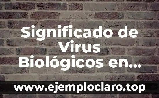 Nombre de Dominio Significado en Informática 4 Significado de Virus Biológicos en Informática