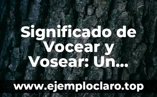 Significado de Vocear y Vosear: Un Viaje a través del Uso de Pronombres en Español
