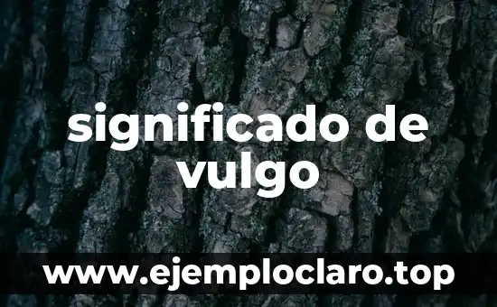 significado de vulgo