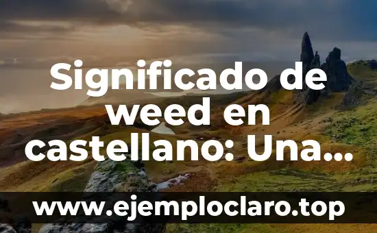 Significado de weed en castellano: Una guía completa sobre su traducción y uso