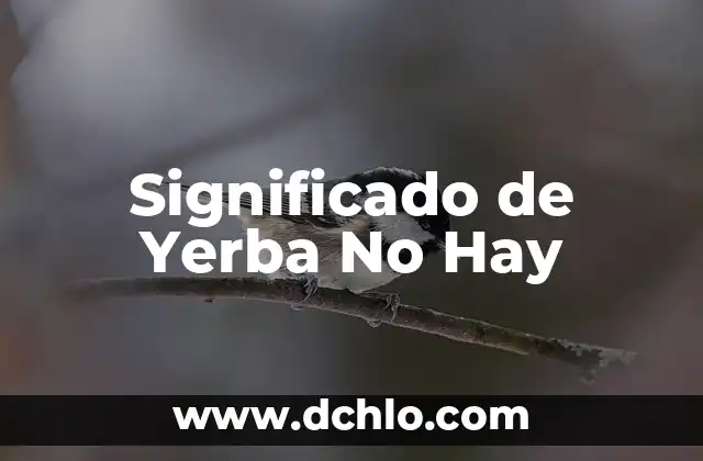 ¿Por qué Hay que Poner el Modo Avión en el Avión? 7 Significado de Yerba No Hay