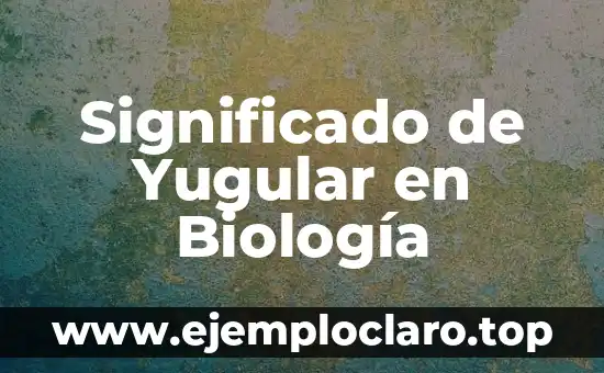 Significado de Yugular en Biología