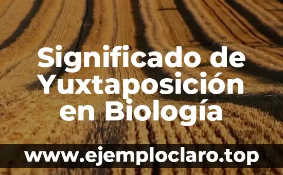 Significado de Yuxtaposición en Biología