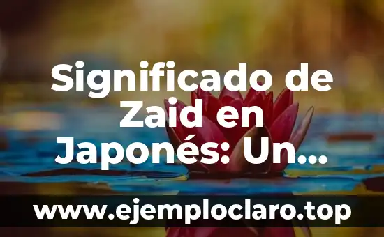 El Significado del Nombre Ao en Japonés: Un Análisis Detallado 7 Significado de Zaid en Japonés: Un Análisis Cultural y Lingüístico