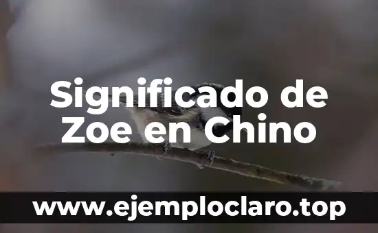Significado de Zoe en Chino
