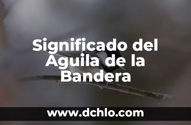 Pupila de Águila - El Profundo Significado de la Canción 7 Significado del Águila de la Bandera