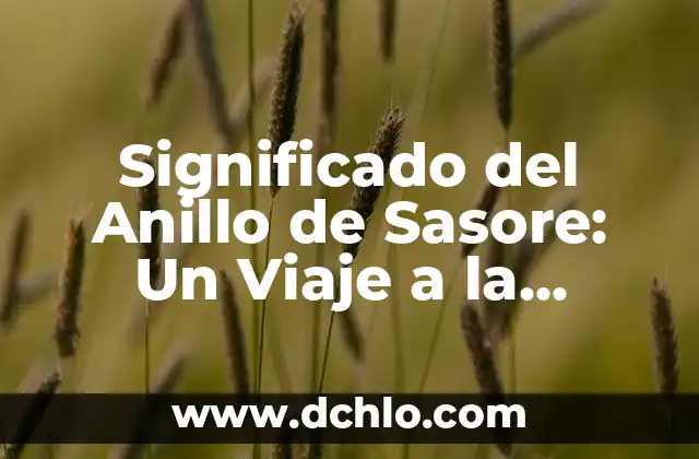 Origen y significado de adagios: Un viaje a través del tiempo 6 Significado del Anillo de Sasore: Un Viaje a la Historia y el Simbolismo