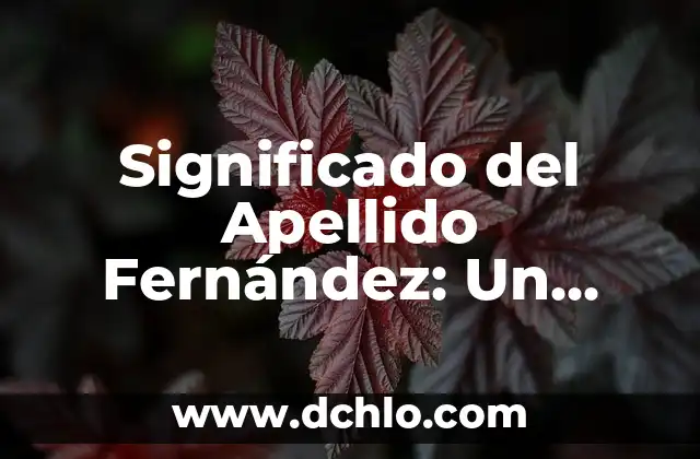 Origen y significado de adagios: Un viaje a través del tiempo 8 Significado del Apellido Fernández: Un Viaje Histórico y Cultural