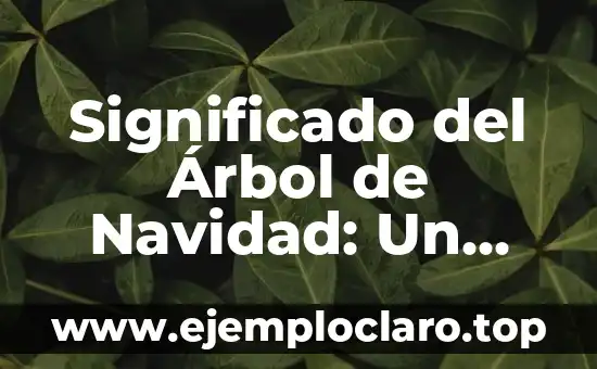 Significado del Árbol de Navidad: Un Símbolo Navideño