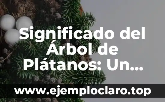 Significado del Árbol de Plátanos: Un Viaje por su Historia y Cultura