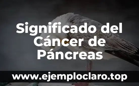 Tatuajes Zodiaco Cáncer y su Importancia Cultural 6 Significado del Cáncer de Páncreas