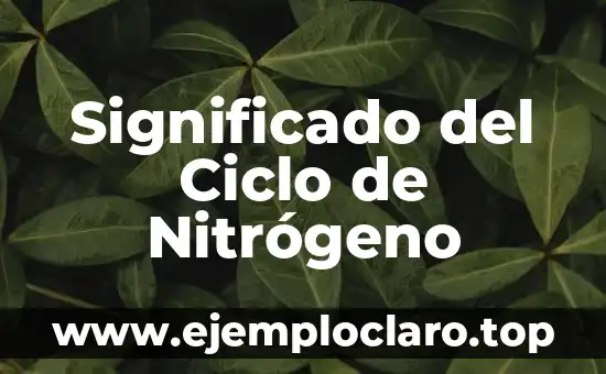 Cómo Hacer Nitrógeno Líquido 5 Significado del Ciclo de Nitrógeno
