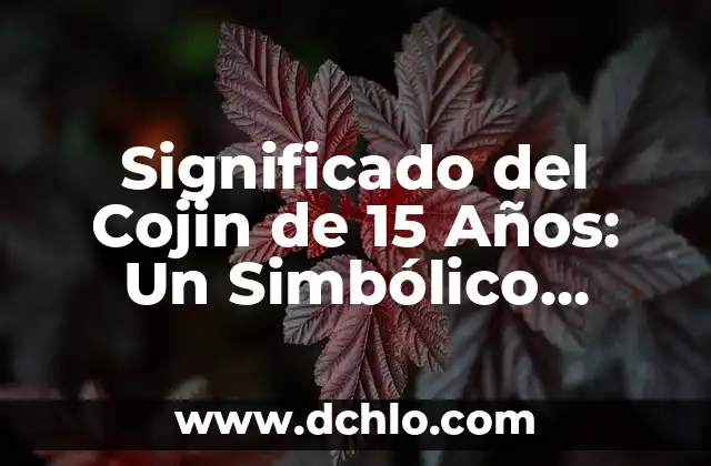 El Disfraz de Diabla: Un Simbólico Traje de Fuego 4 Significado del Cojin de 15 Años: Un Simbólico Símbolo Cultural