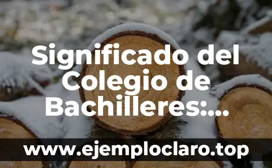 Significado del Logotipo de Bachilleres 4 Significado del Colegio de Bachilleres: Una Guía Completa