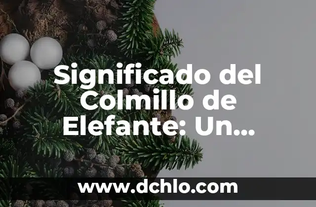 Significado del Control de Armas: Comprensión Integral del Regulación de Armas de Fuego 5 Significado del Colmillo de Elefante: Un Enfoque Integral
