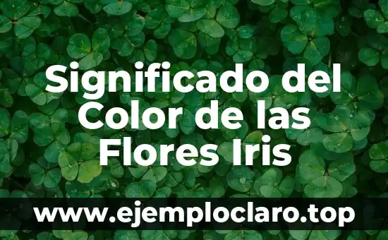 Significado del Color de las Flores Iris