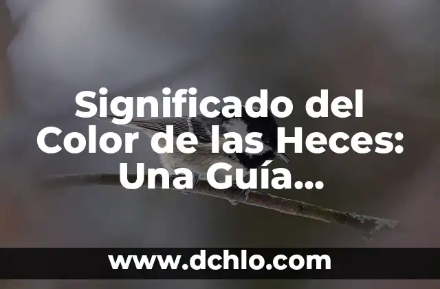 Significado del Disfraz de Calaveras: Un Viaje Cultural 7 Significado del Color de las Heces: Una Guía Completa