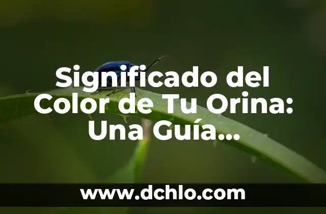 Embarazo Natural a los 47 Años es Posible: Guía Completa y Actualizada 6 Significado del Color de Tu Orina: Una Guía Completa