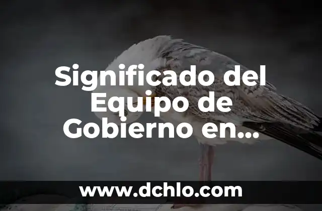 Cual es el significado de PROI 5 Significado del Equipo de Gobierno en ANUIES