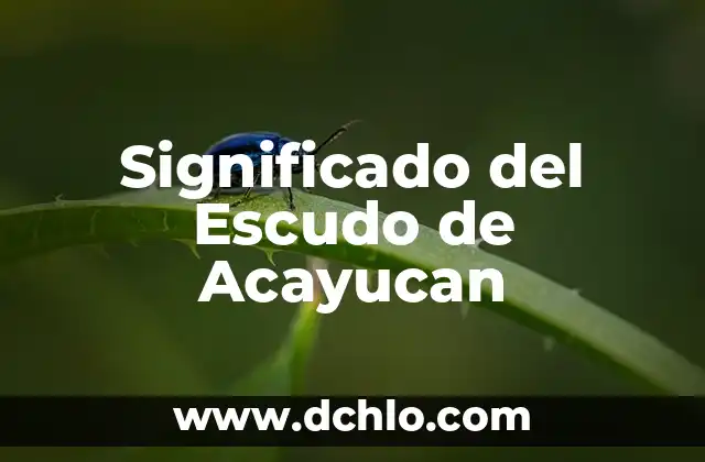 Notas Musicales y Su Significado Más Allá de la Música 7 Significado del Escudo de Acayucan