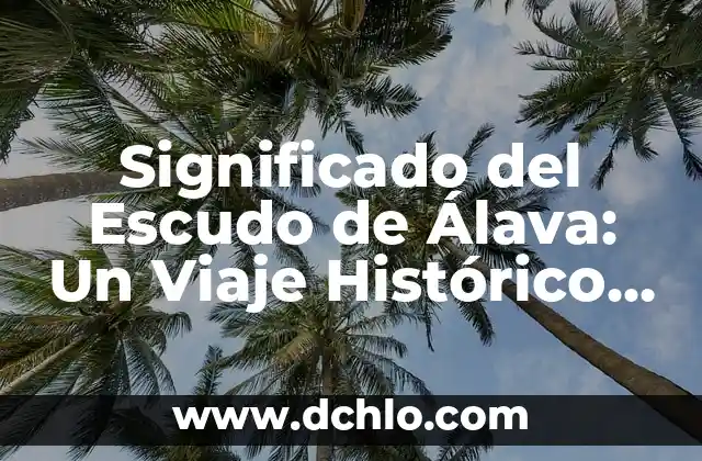 Símbolos de lavado de ropa significado 6 Significado del Escudo de Álava: Un Viaje Histórico por sus Símbolos