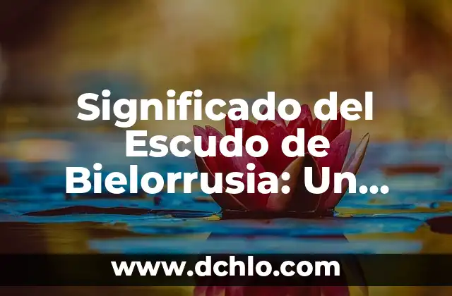 El Significado del Escudo de Brunei: Un Viaje a su Historia y Simbolismo 5 Significado del Escudo de Bielorrusia: Un Símbolo de Historia y Cultura