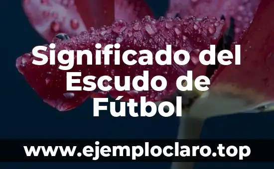 El Significado del Nombre Oleg 6 Significado del Escudo de Fútbol