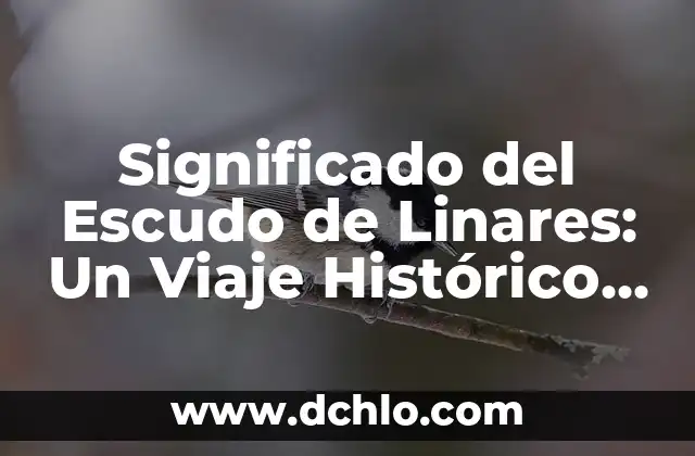 Significado del Escudo de Álava: Un Viaje Histórico por sus Símbolos 7 Significado del Escudo de Linares: Un Viaje Histórico a Través de Sus Símbolos