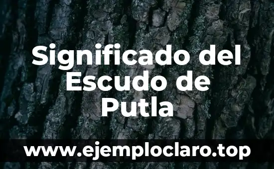 Significado del Escudo de Putla