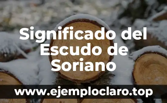Significado del Escudo de Soriano