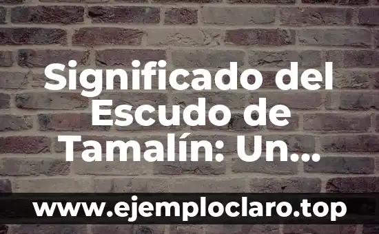 Significado del Escudo de Tamalín: Un Viaje Histórico