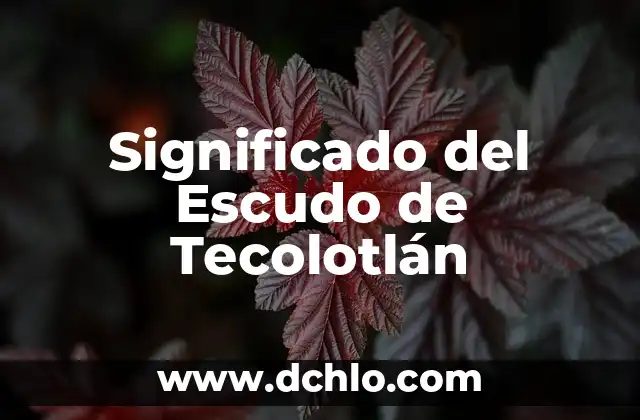 Nombre de Empresas sin Significado: El Poder de la Identidad Corporativa 5 Significado del Escudo de Tecolotlán
