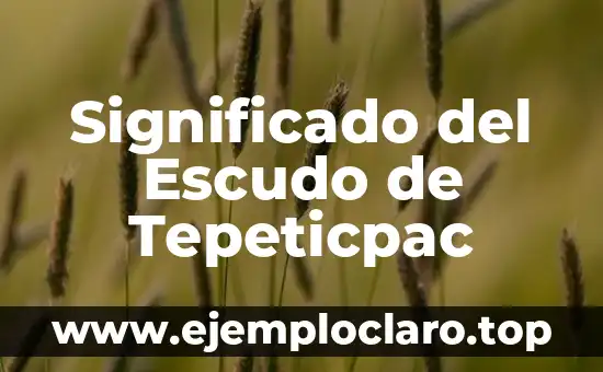 Significado del Escudo de Tepeticpac