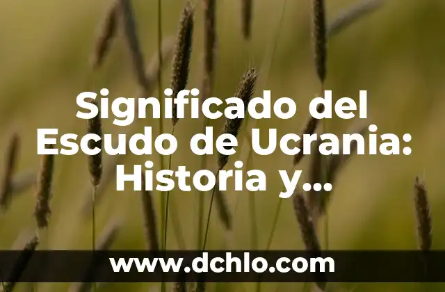 El Escudo de los Carmelitas: Un Simbolismo Profundo 5 Significado del Escudo de Ucrania: Historia y Simbolismo
