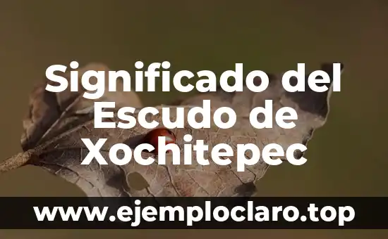 El Significado del Nombre Alex 6 Significado del Escudo de Xochitepec