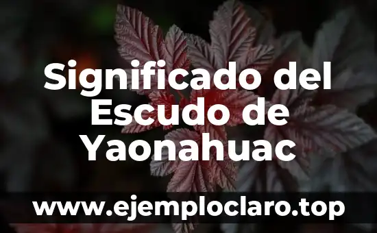 El Significado del Nombre Alex 8 Significado del Escudo de Yaonahuac