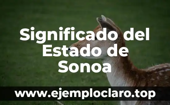 Nombres Femeninos con Significado 7 Significado del Estado de Sonoa