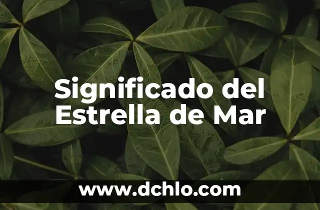 El Mazo de Yemaya: Un Simbólico Ritual en el Mar 6 Significado del Estrella de Mar