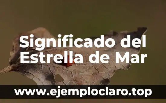 Significado del Estrella de Mar