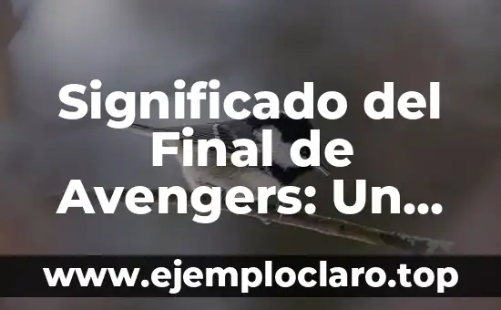 Nombre con Significado de Rojo: Un Análisis Profundo y Completo 5 Significado del Final de Avengers: Un Análisis Profundo